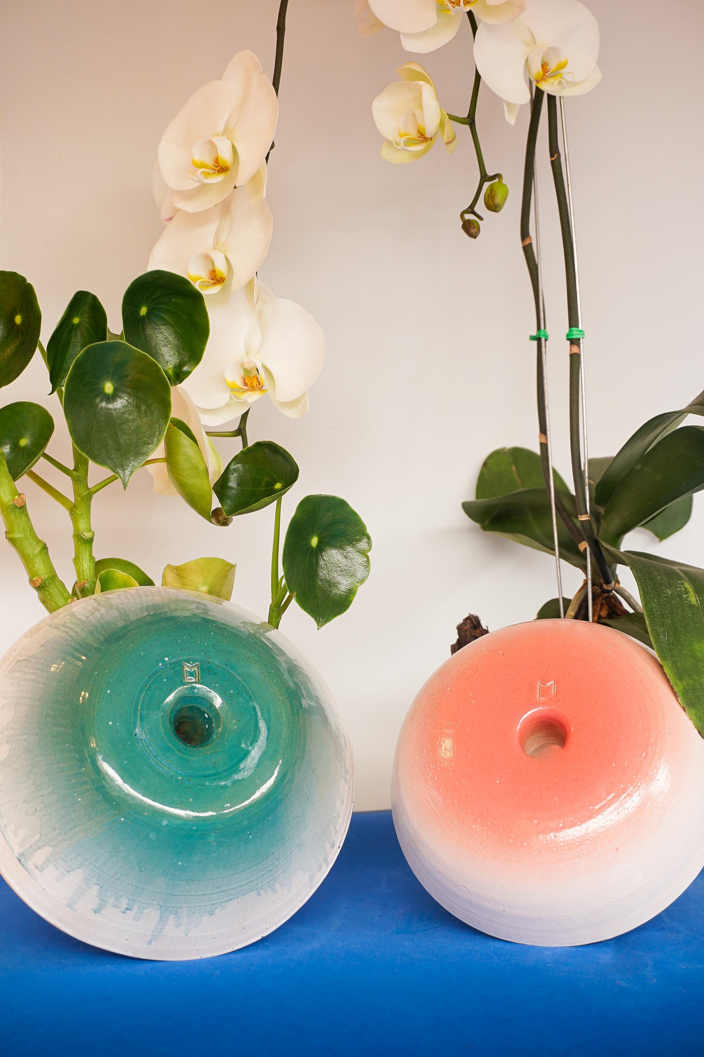 Air Planters (Por Pedido)