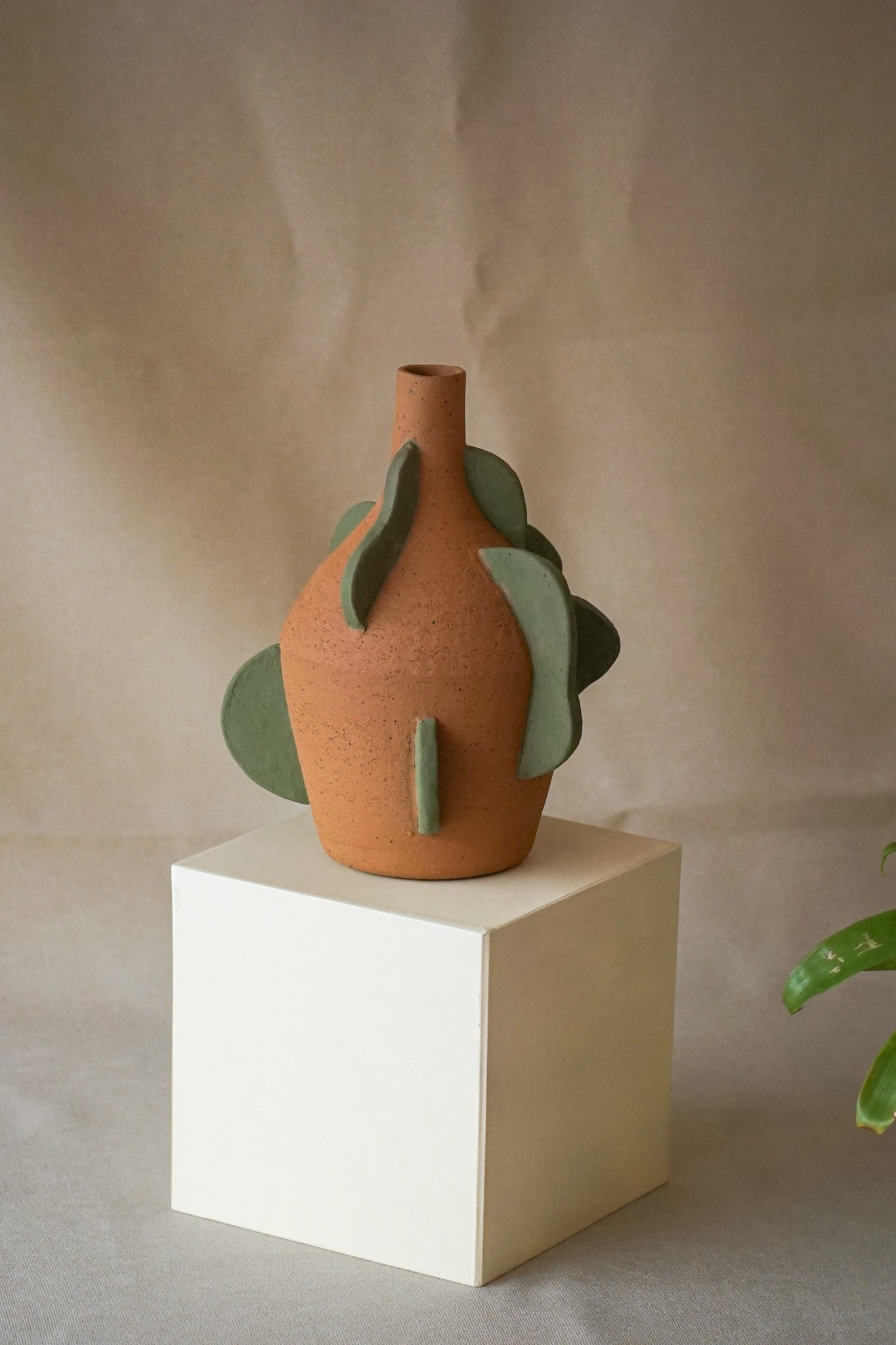 Abstraction of a Plant